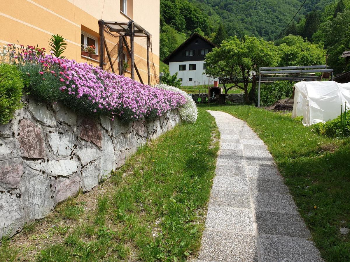 Apartment And Garden House Among The Mountains Podbrdo ภายนอก รูปภาพ