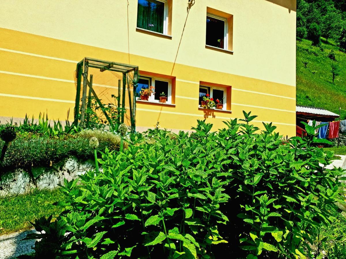 Apartment And Garden House Among The Mountains Podbrdo ภายนอก รูปภาพ