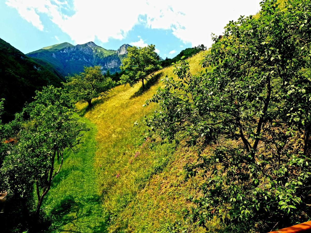 Apartment And Garden House Among The Mountains Podbrdo ภายนอก รูปภาพ